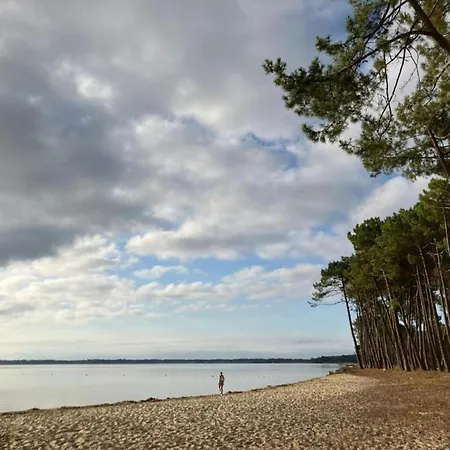 Near In Les Landes